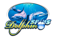Dolphin Spins