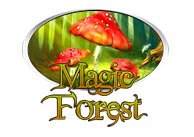 Magic Forest