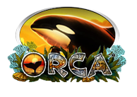 Orca