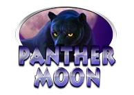 Panther Moon