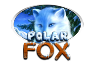 Polar Fox