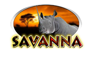 Savanna
