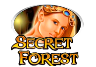 Secret Forest